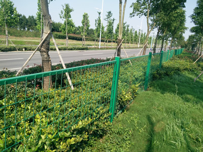 安徽蚌埠黃山大道綠化隔離項(xiàng)目 安徽蚌埠黃山大道綠化隔離項(xiàng)目