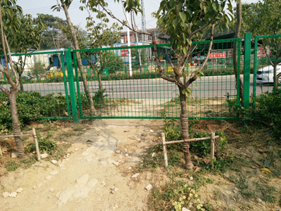 安徽蚌埠黃山大道綠化隔離項(xiàng)目 安徽蚌埠黃山大道綠化隔離項(xiàng)目