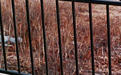 680194617_2038187562.jpg 680194617_2038187562.jpg